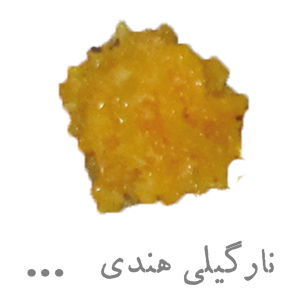 نارگیلی هندی