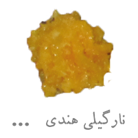 شیرینی نارگیلی هندی